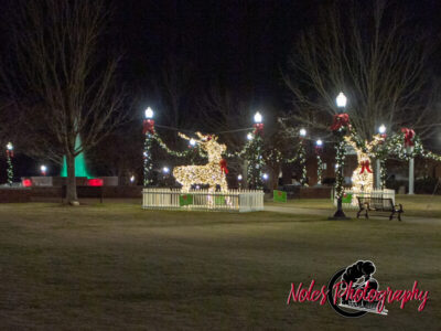 2023-Opelika-Decorations-3506