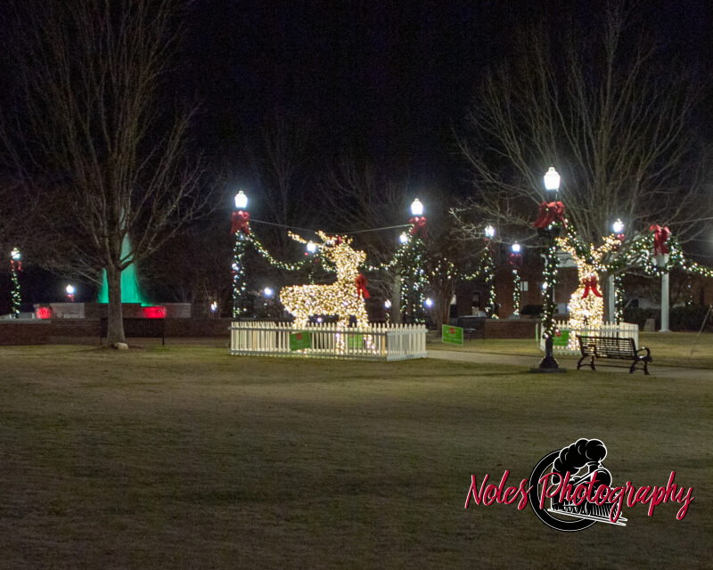 2023-Opelika-Decorations-3506