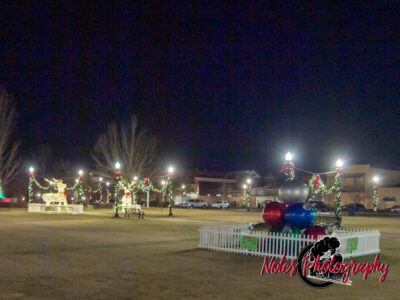 2023-Opelika-Decorations-3507