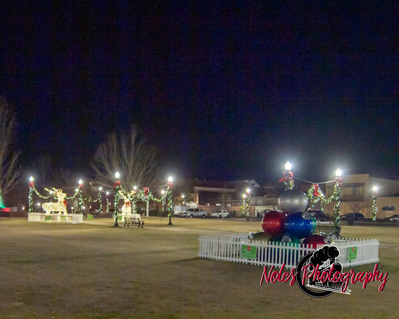 2023-Opelika-Decorations-3507