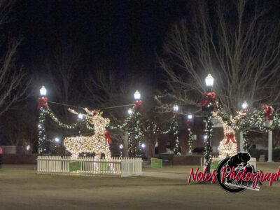 2023-Opelika-Decorations-3508