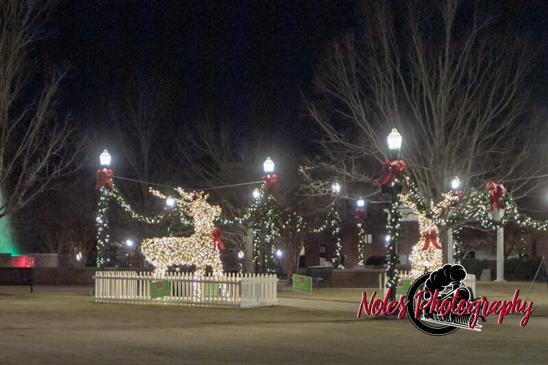 2023-Opelika-Decorations-3508