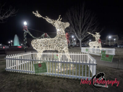 2023-Opelika-Decorations-3511