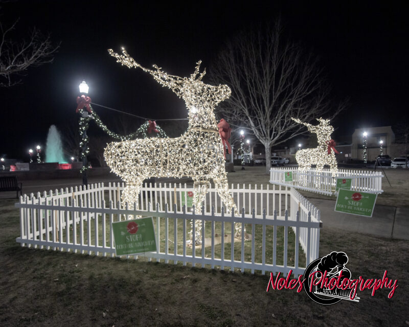 2023-Opelika-Decorations-3511