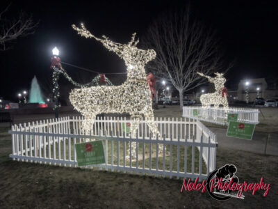 2023-Opelika-Decorations-3512