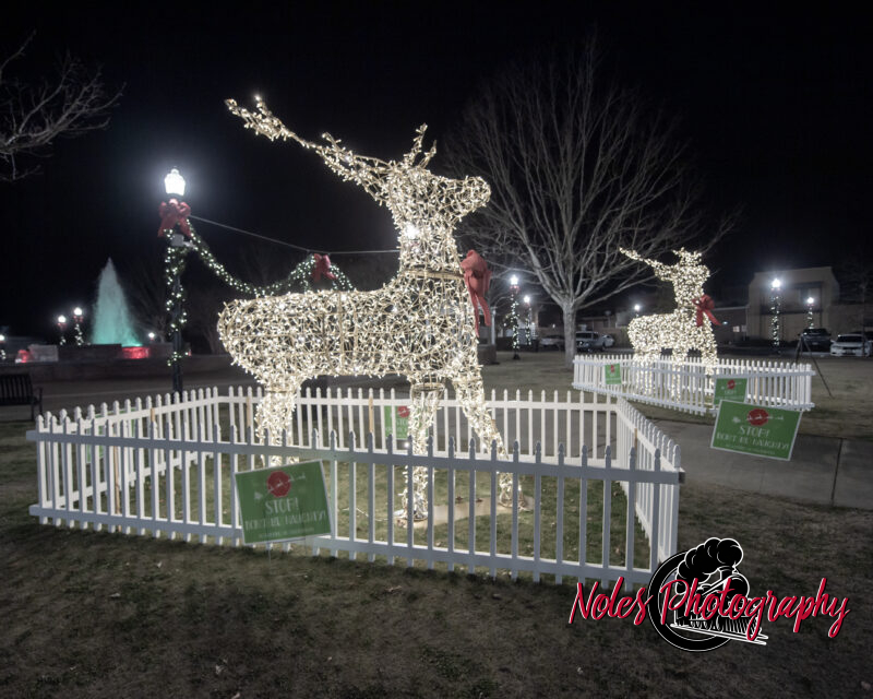 2023-Opelika-Decorations-3512