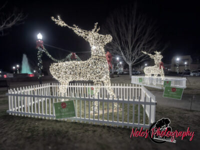 2023-Opelika-Decorations-3513