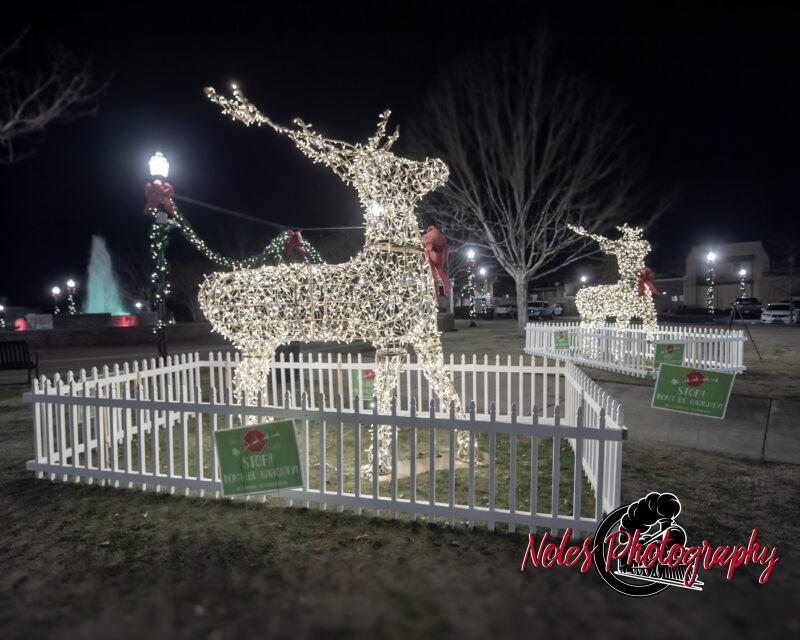 2023-Opelika-Decorations-3513