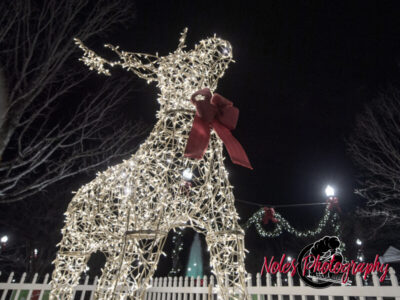 2023-Opelika-Decorations-3514