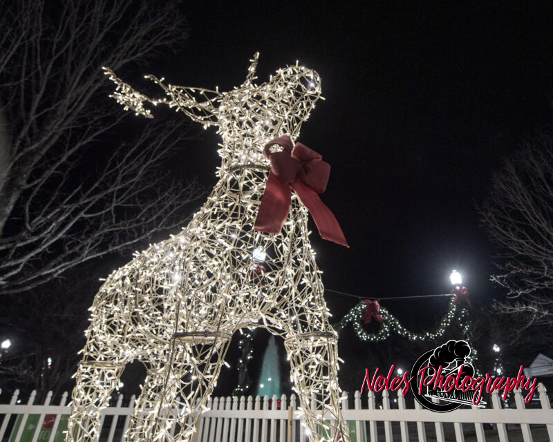 2023-Opelika-Decorations-3514