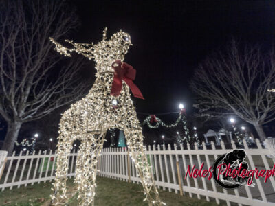 2023-Opelika-Decorations-3515