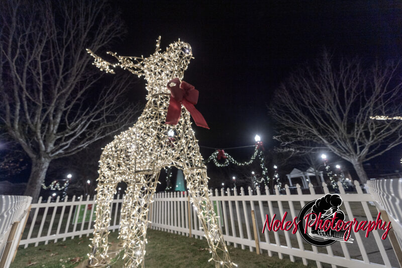 2023-Opelika-Decorations-3515