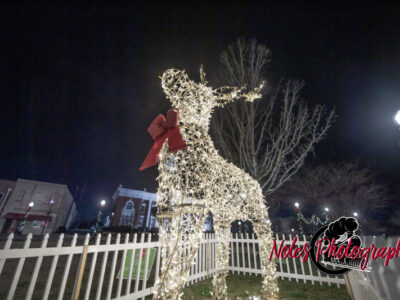 2023-Opelika-Decorations-3517