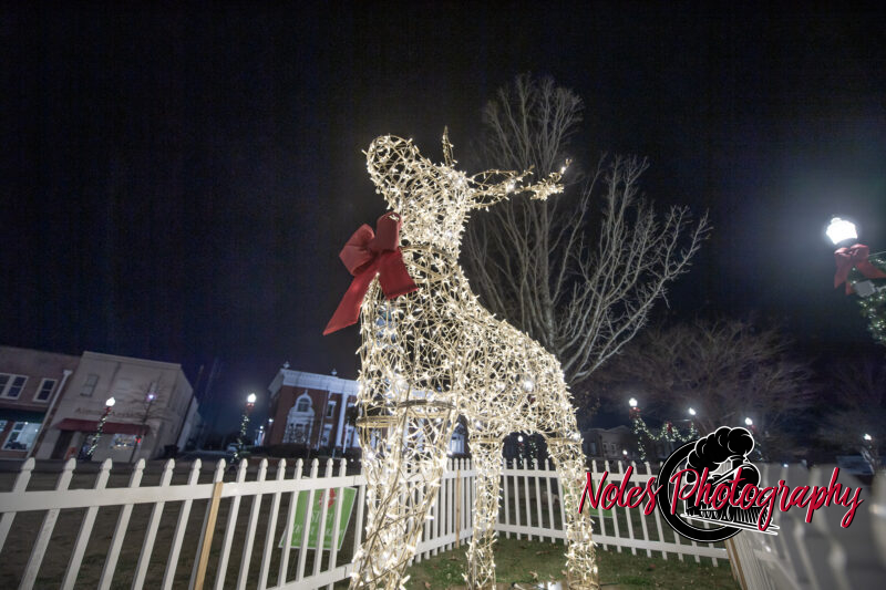 2023-Opelika-Decorations-3517