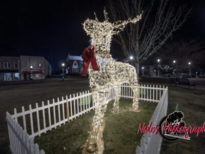2023-Opelika-Decorations-3518
