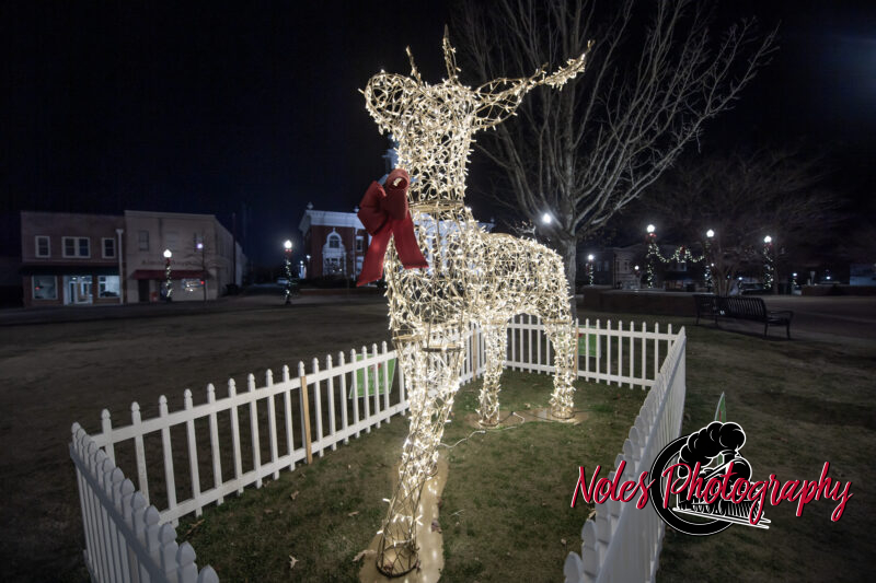 2023-Opelika-Decorations-3518