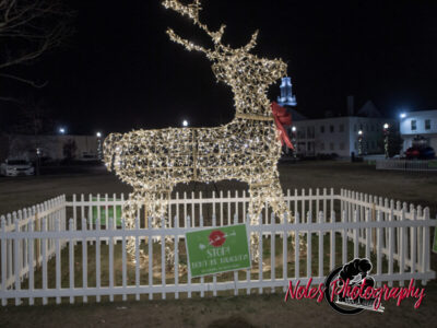 2023-Opelika-Decorations-3520
