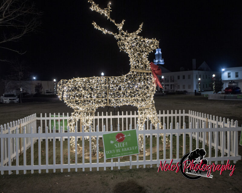 2023-Opelika-Decorations-3520