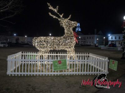 2023-Opelika-Decorations-3521