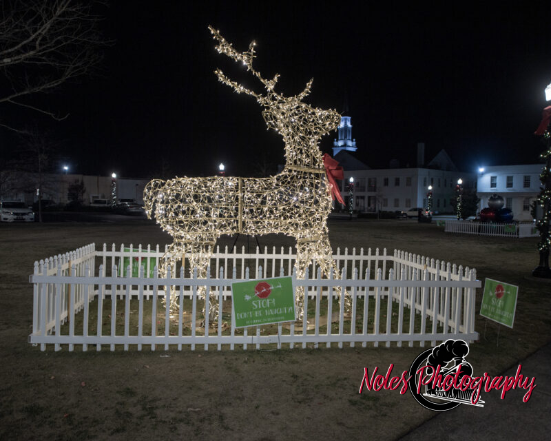 2023-Opelika-Decorations-3521