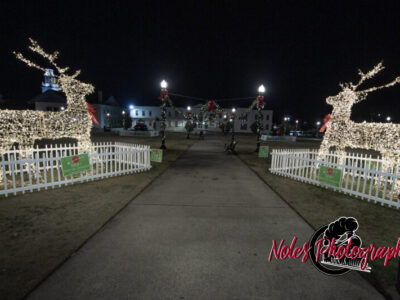 2023-Opelika-Decorations-3522