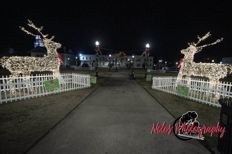2023-Opelika-Decorations-3522