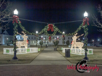 2023-Opelika-Decorations-3523