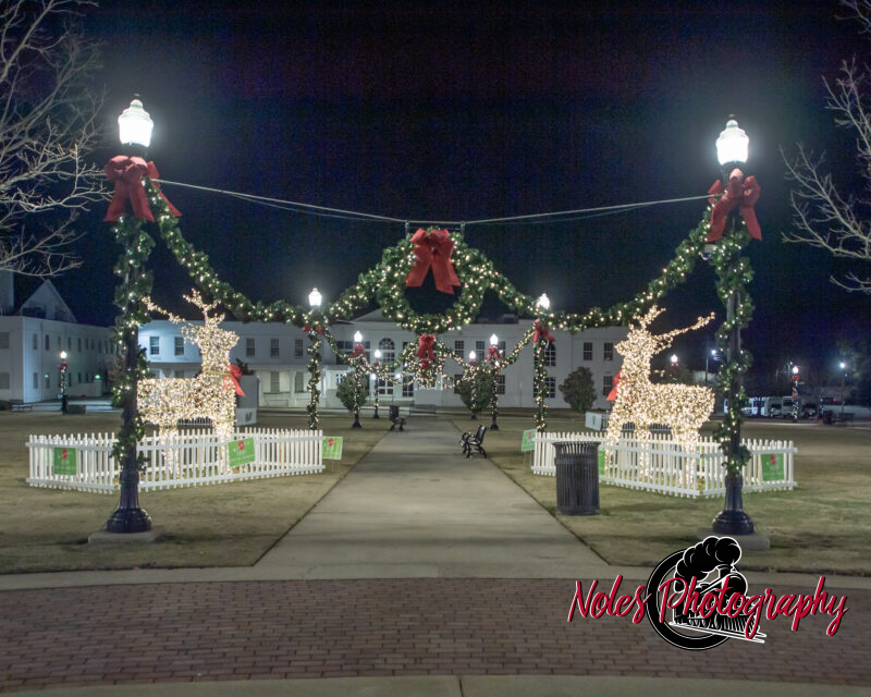 2023-Opelika-Decorations-3523