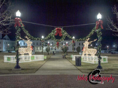 2023-Opelika-Decorations-3524