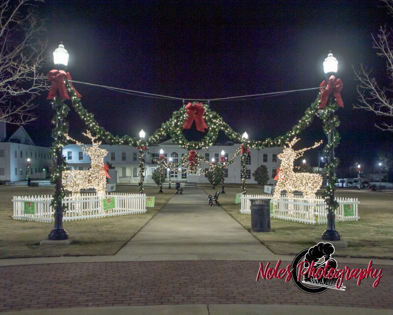2023-Opelika-Decorations-3524