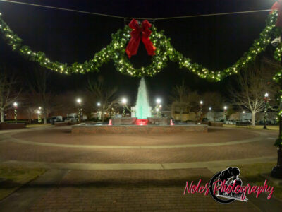 2023-Opelika-Decorations-3525