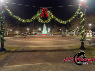 2023-Opelika-Decorations-3526