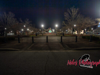 2023-Opelika-Decorations-3528