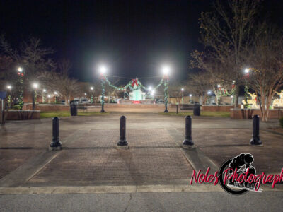 2023-Opelika-Decorations-3529