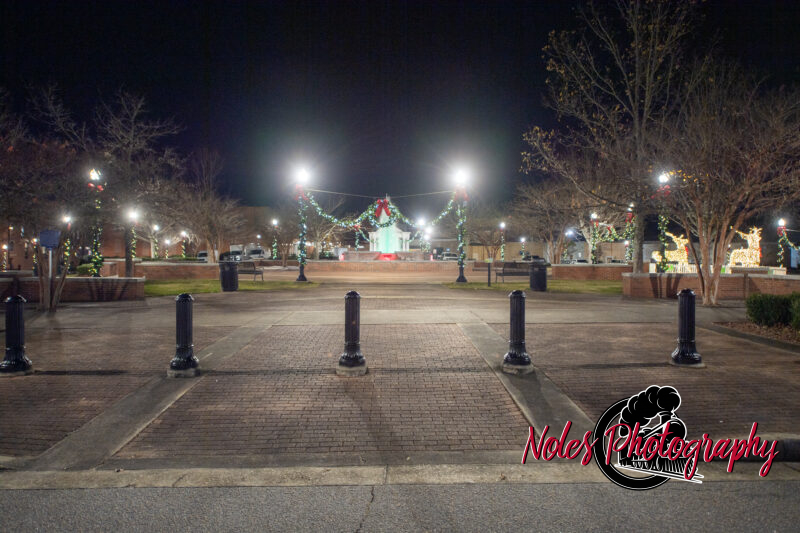 2023-Opelika-Decorations-3529