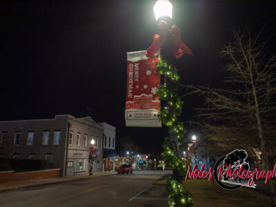 2023-Opelika-Decorations-3530