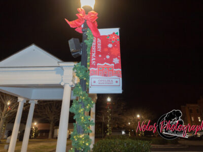 2023-Opelika-Decorations-3534