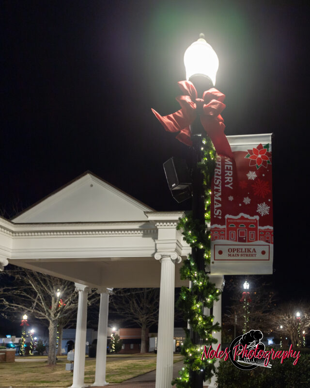 2023-Opelika-Decorations-3535