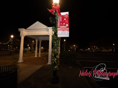 2023-Opelika-Decorations-3536