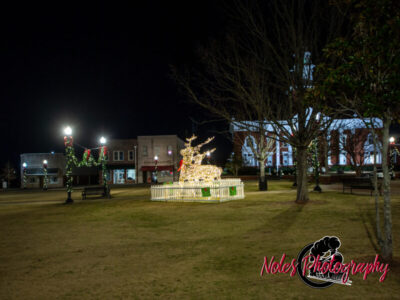 2023-Opelika-Decorations-3537