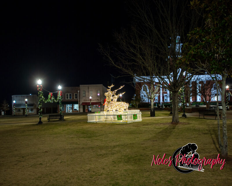 2023-Opelika-Decorations-3537