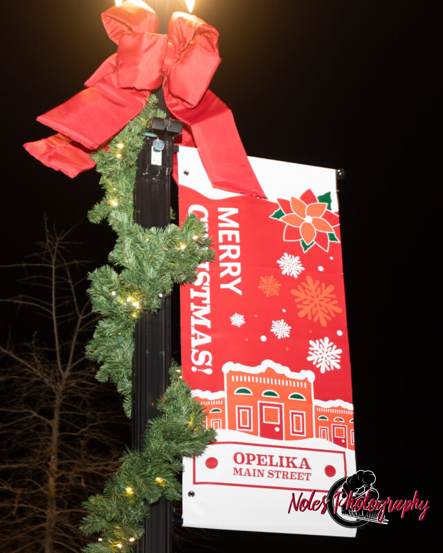 2023-Opelika-Decorations-3538