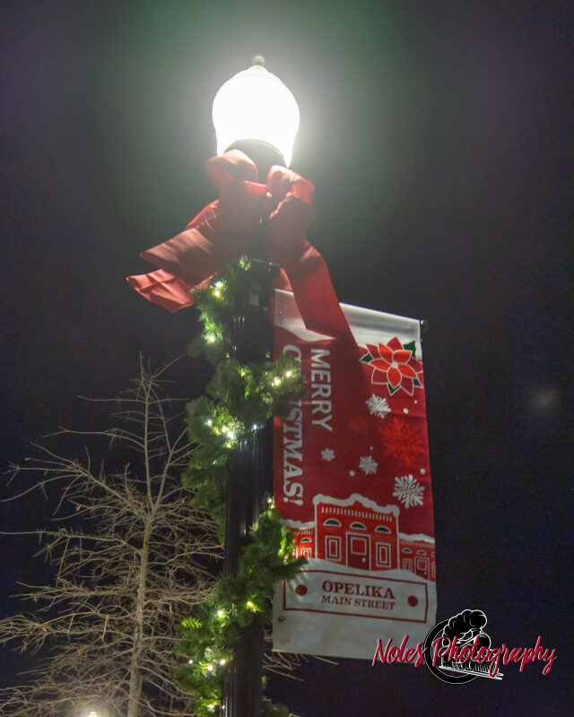 2023-Opelika-Decorations-3539