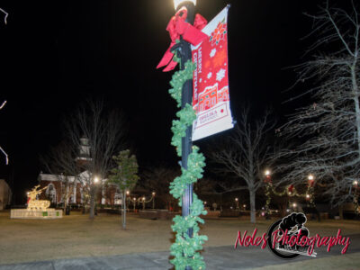 2023-Opelika-Decorations-3540