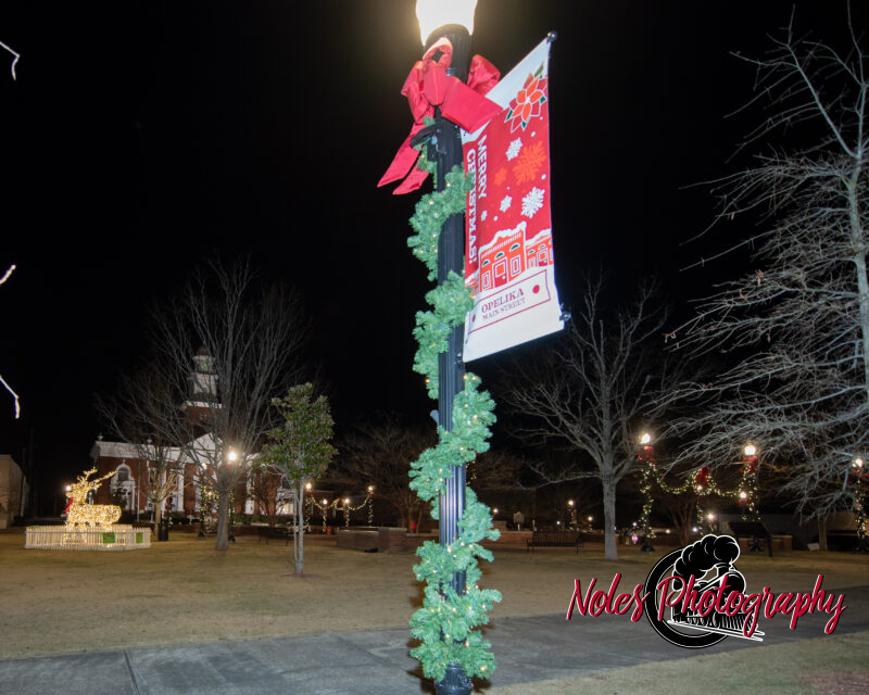 2023-Opelika-Decorations-3540