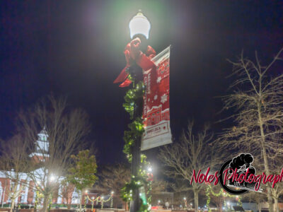 2023-Opelika-Decorations-3541