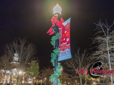2023-Opelika-Decorations-3542