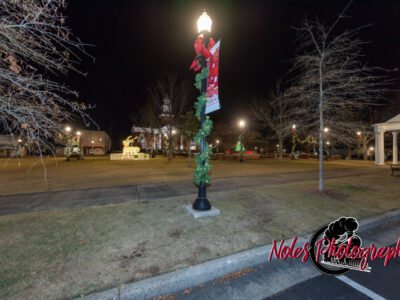 2023-Opelika-Decorations-3543