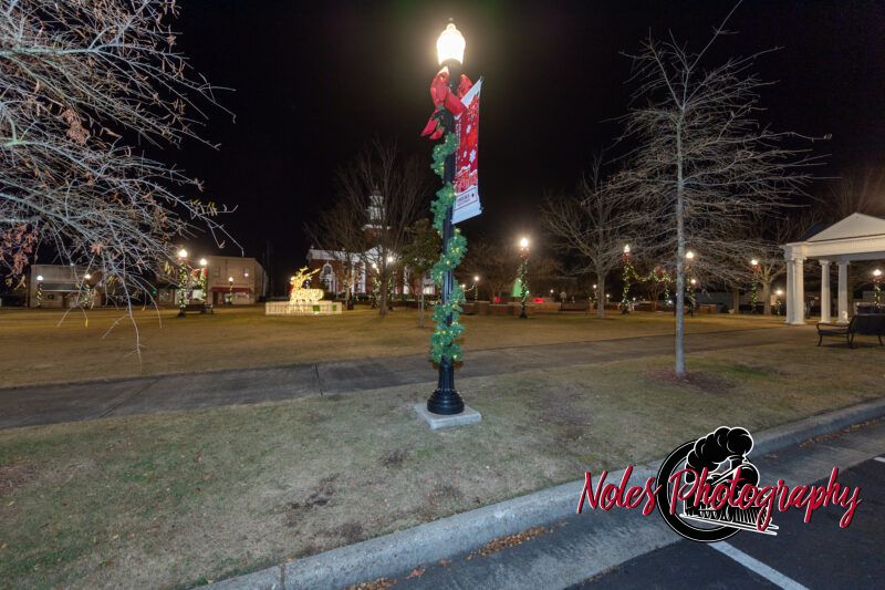 2023-Opelika-Decorations-3543