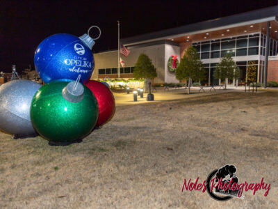 2023-Opelika-Decorations-3585